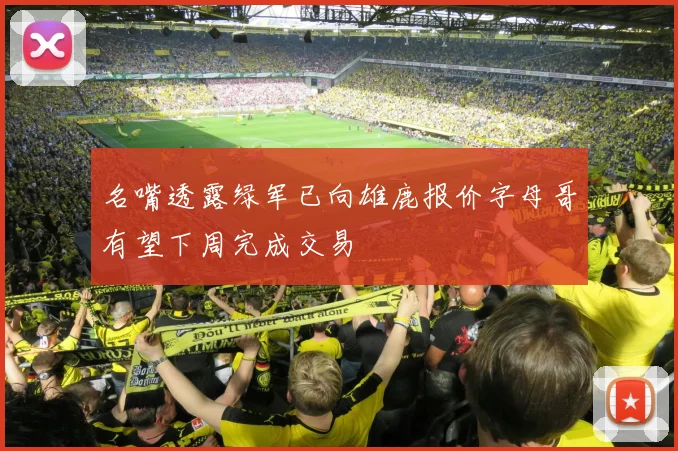 名嘴透露绿军已向雄鹿报价字母哥有望下周完成交易